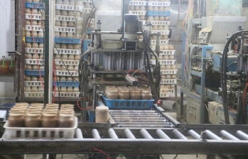 金針菇工廠化栽培機(jī)械自動(dòng)化生產(chǎn)與管理關(guān)鍵技術(shù)及其對(duì)現(xiàn)代酒店管理的啟示